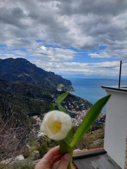 Apartamento Il Sogno Di Wagner Ravello Exterior foto